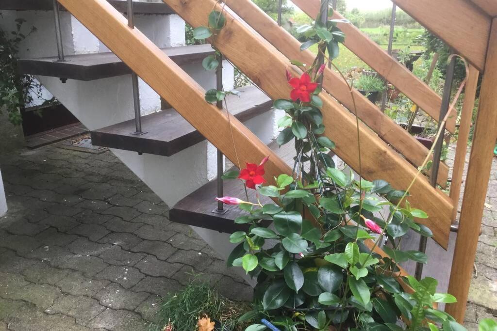 Gemuetliches Nest Fuer Zwei Personen Zum Ausspannen Beverstedt Exteriér fotografie