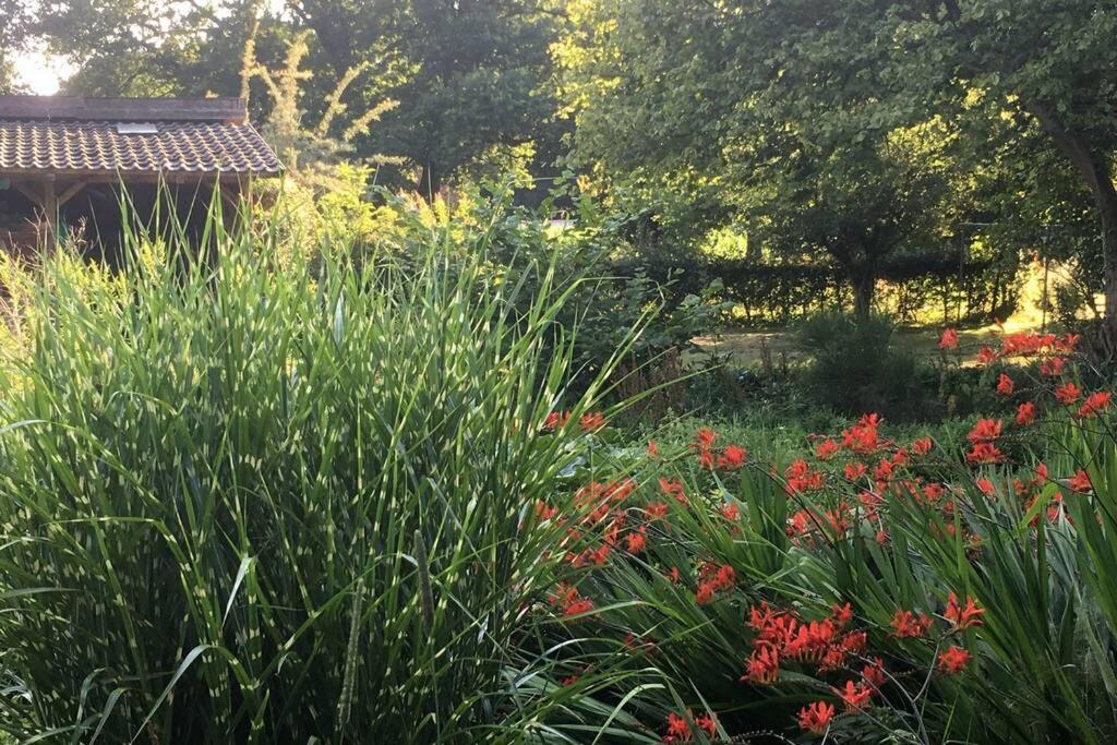 Gemuetliches Nest Fuer Zwei Personen Zum Ausspannen Beverstedt Exteriér fotografie